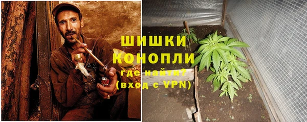 ПСИЛОЦИБИНОВЫЕ ГРИБЫ Верхнеуральск